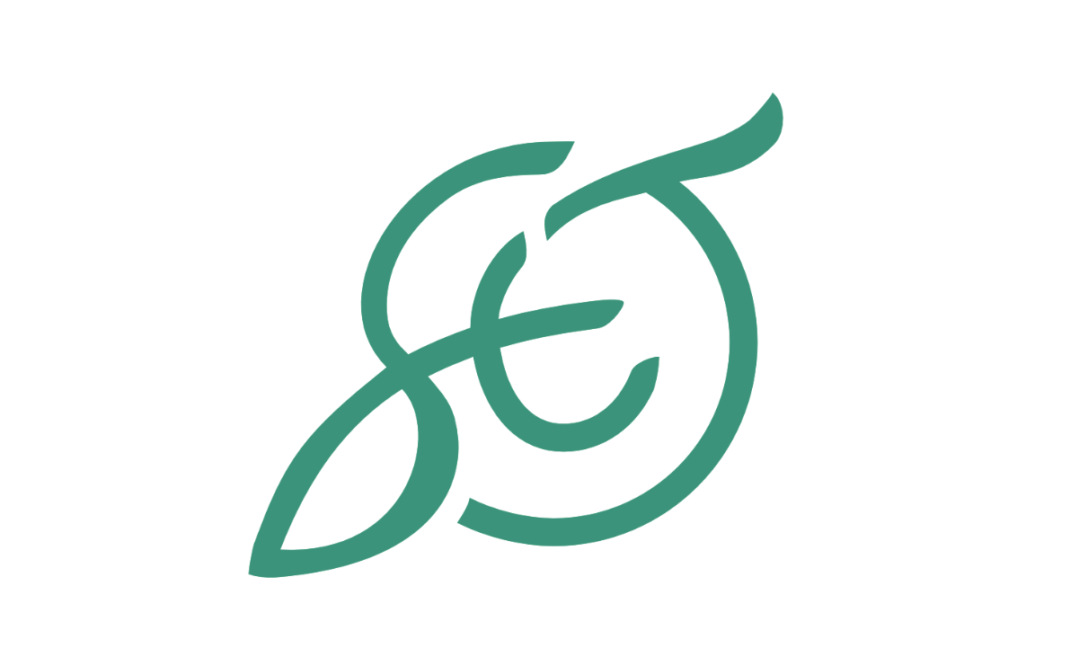 logo SET project